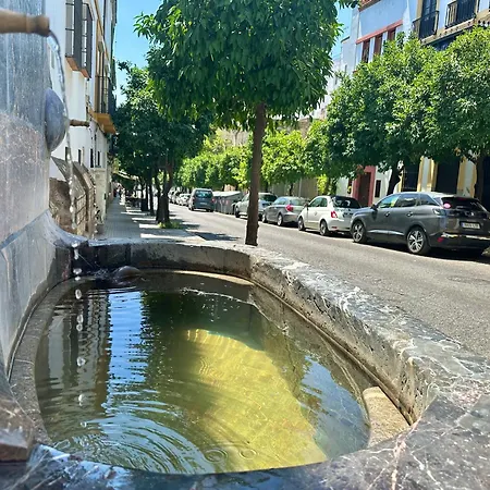 San Fernando 27 Atico Córdoba